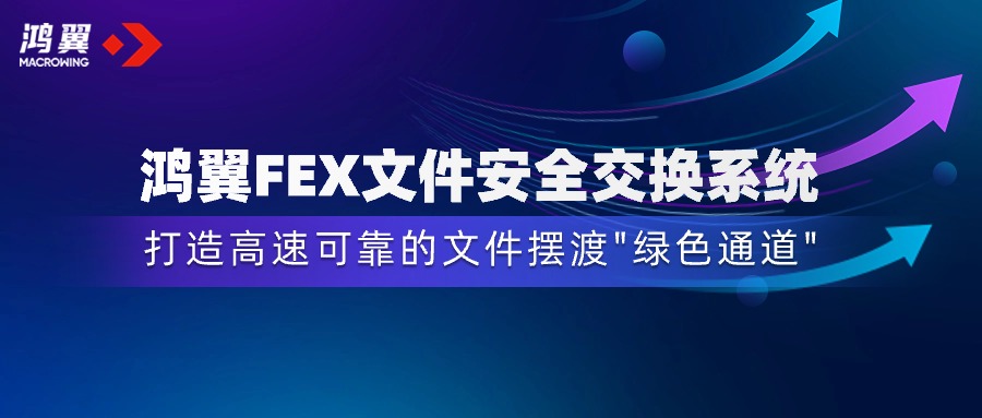 鴻翼FEX文件安全交換系統(tǒng)，打造安全高效的文件擺渡“綠色通道”